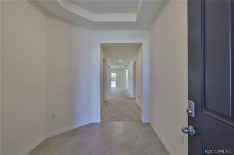 11919 Brighton Knoll Loop, Riverview, FL 33579 photo 4
