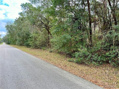 1388 W Redding St, Hernando, FL 34442 photo 5