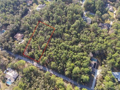 1354 W Redding St, Hernando, FL 34442 photo 2