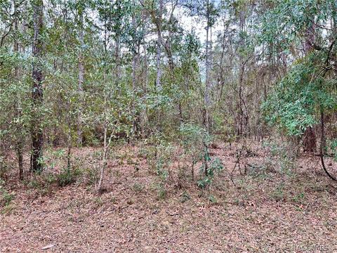 1354 W Redding St, Hernando, FL 34442 photo 3