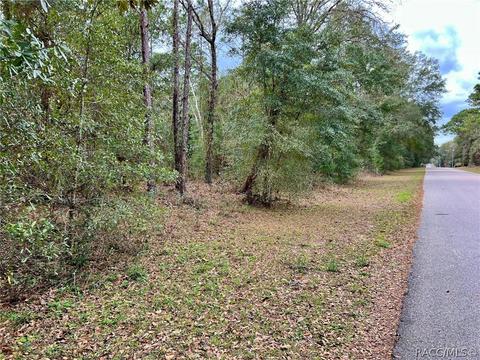 1354 W Redding St, Hernando, FL 34442 photo 4