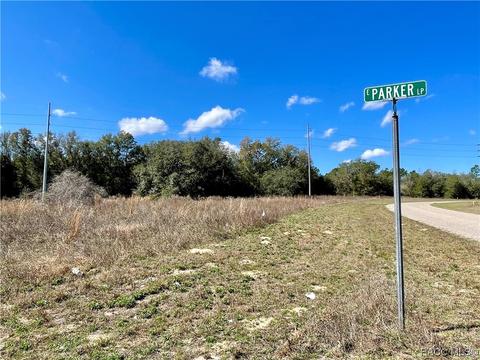 202 E Parker Loop, Citrus Springs, FL 34434