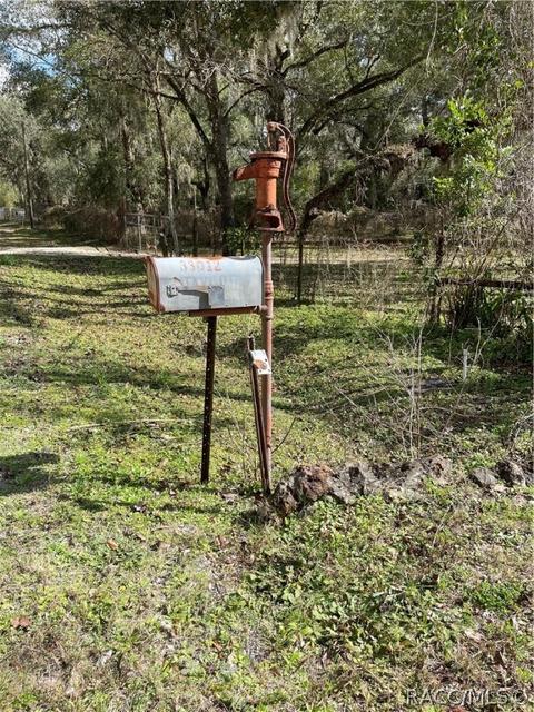 33012 Ranch Rd, Dade City, FL 33523 photo 40