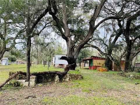 33012 Ranch Rd, Dade City, FL 33523 photo 28