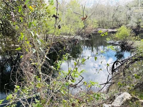 33012 Ranch Rd, Dade City, FL 33523 photo 36