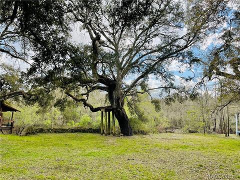 33012 Ranch Rd, Dade City, FL 33523 photo 33