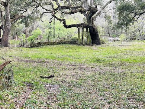 33012 Ranch Rd, Dade City, FL 33523 photo 32