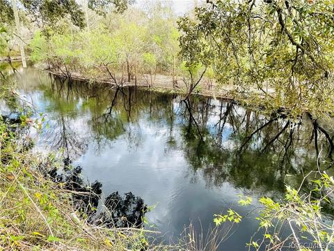 33012 Ranch Rd, Dade City, FL 33523 photo 35