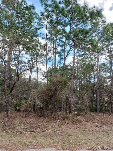 9 Twinberry Ct, Homosassa, FL 34446