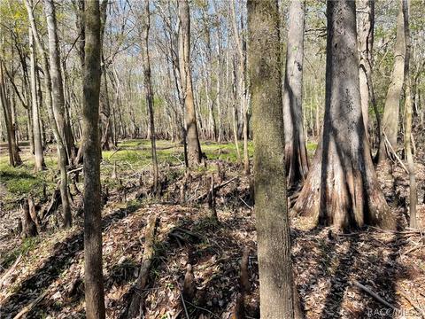 6055 E River Rd, Hernando, FL 34442 photo 7