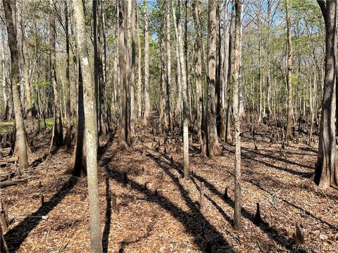 6055 E River Rd, Hernando, FL 34442 photo 5
