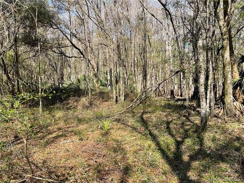 6055 E River Rd, Hernando, FL 34442 photo 15