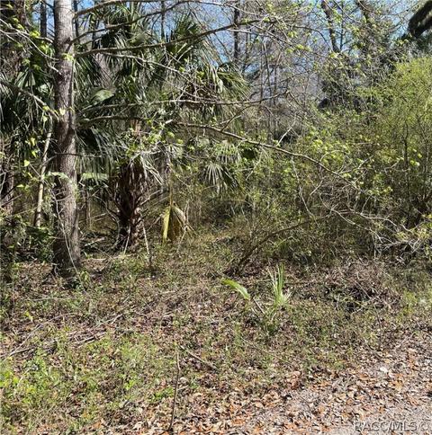 6055 E River Rd, Hernando, FL 34442 photo 2