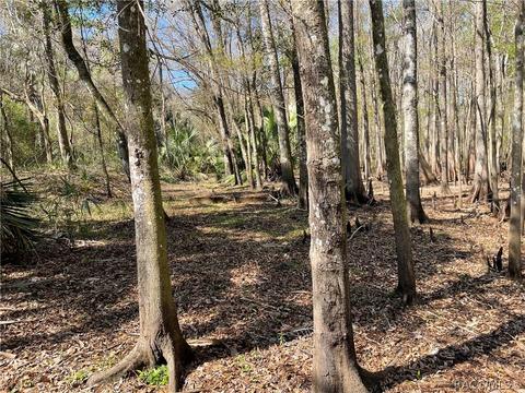 6055 E River Rd, Hernando, FL 34442 photo 13