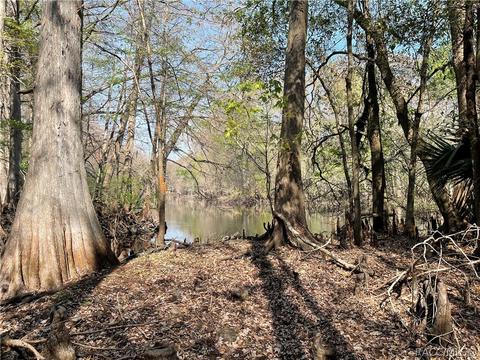 6055 E River Rd, Hernando, FL 34442 photo 11