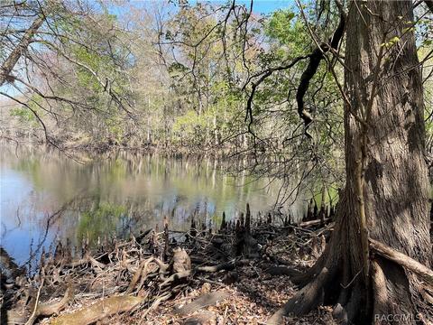 6055 E River Rd, Hernando, FL 34442