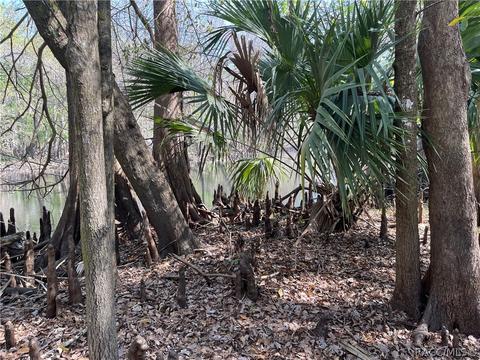 6055 E River Rd, Hernando, FL 34442 photo 10