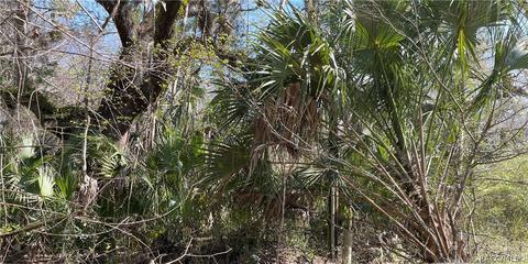 6055 E River Rd, Hernando, FL 34442 photo 4