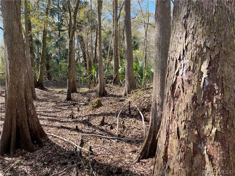 6055 E River Rd, Hernando, FL 34442 photo 6