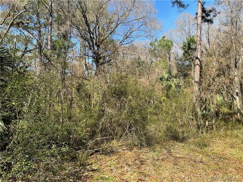 6055 E River Rd, Hernando, FL 34442 photo 16