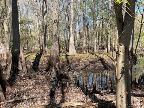 6055 E River Rd, Hernando, FL 34442 photo 9