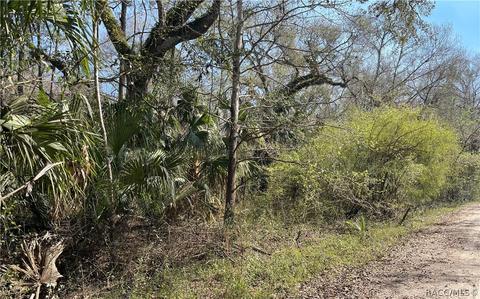 6055 E River Rd, Hernando, FL 34442 photo 3