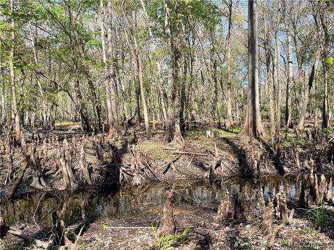 6055 E River Rd, Hernando, FL 34442 photo 8