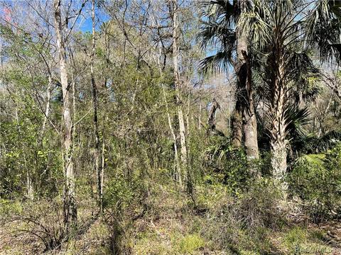 6055 E River Rd, Hernando, FL 34442 photo 17