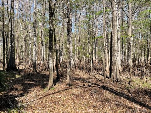 6055 E River Rd, Hernando, FL 34442 photo 14