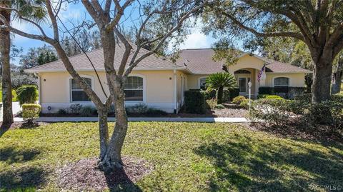 518 E Dakota Ct, Hernando, FL 34442 photo 44
