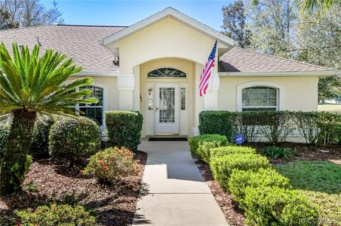 518 E Dakota Ct, Hernando, FL 34442 photo 42