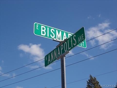 838 E Bismark St, Hernando, FL 34442 photo 5