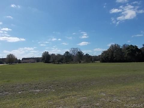 838 E Bismark St, Hernando, FL 34442 photo 3