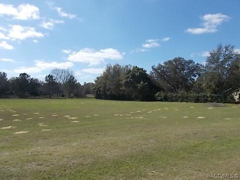 838 E Bismark St, Hernando, FL 34442 photo 1