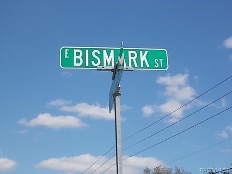 838 E Bismark St, Hernando, FL 34442 photo 4