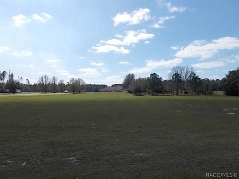 838 E Bismark St, Hernando, FL 34442 photo 2