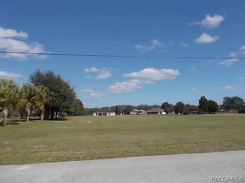 813 E Bismark St, Hernando, FL 34442 photo 1