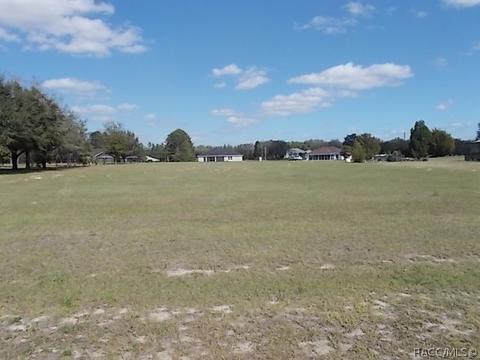 813 E Bismark St, Hernando, FL 34442 photo 2