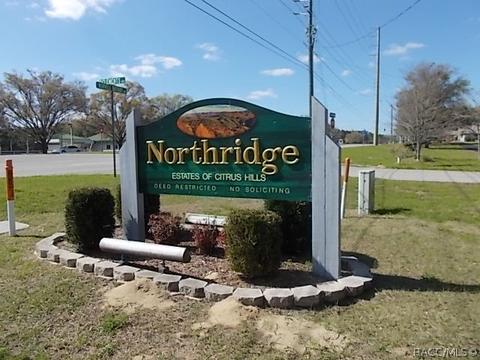 813 E Bismark St, Hernando, FL 34442 photo 6