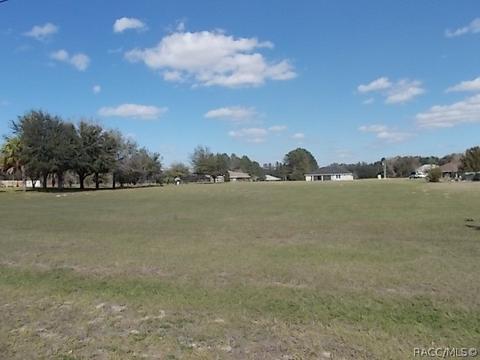 813 E Bismark St, Hernando, FL 34442 photo 3
