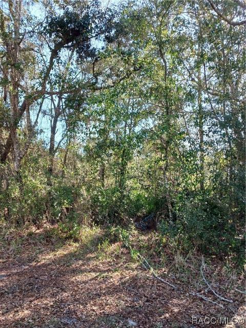 149 Douglas St, Homosassa, FL 34446
