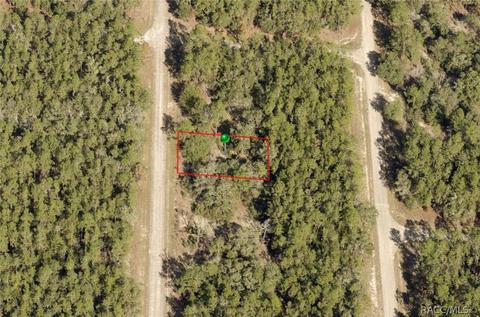 8809 N Bambury Ter, Citrus Springs, FL 34434