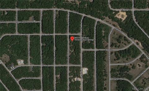 8823 N Bambury Ter, Citrus Springs, FL 34434