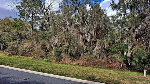 2293 N Heritage Oaks Path, Hernando, FL 34442 photo 2