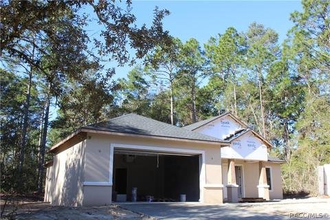 8096 N Brook Way, Citrus Springs, FL 34433
