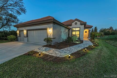 1995 N Ember Path, Hernando, FL 34442 photo 1