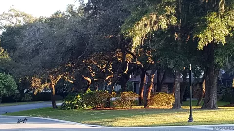 2239 N Heritage Oaks Path, Hernando, FL 34442 photo 10