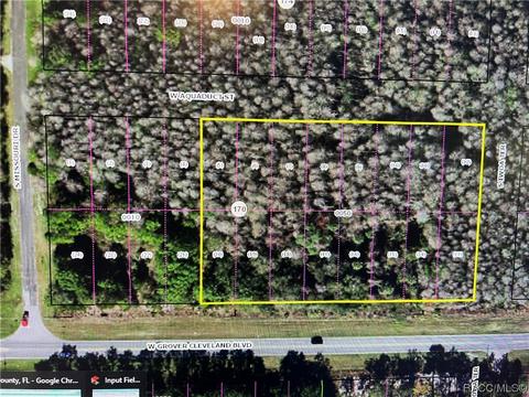 7737 W Grover Cleveland Blvd, Homosassa, FL 34448