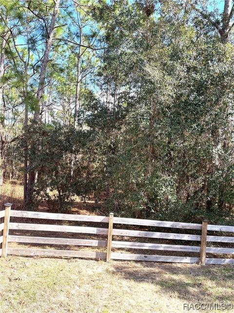 622 Foresthill Pl, Hernando, FL 34442 photo 64