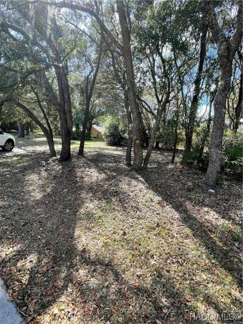 622 Foresthill Pl, Hernando, FL 34442 photo 67
